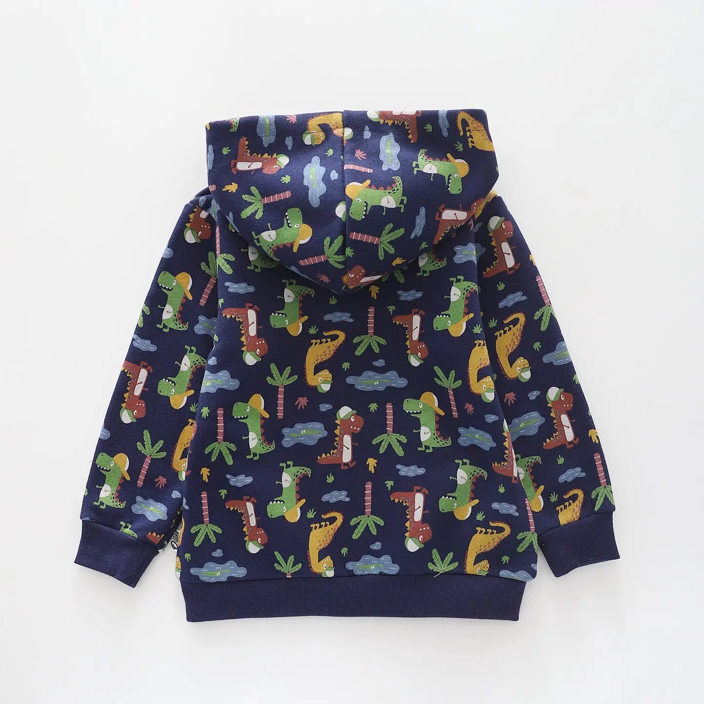 Dinosaurs, Boys Zip Hoodie Ollies Place