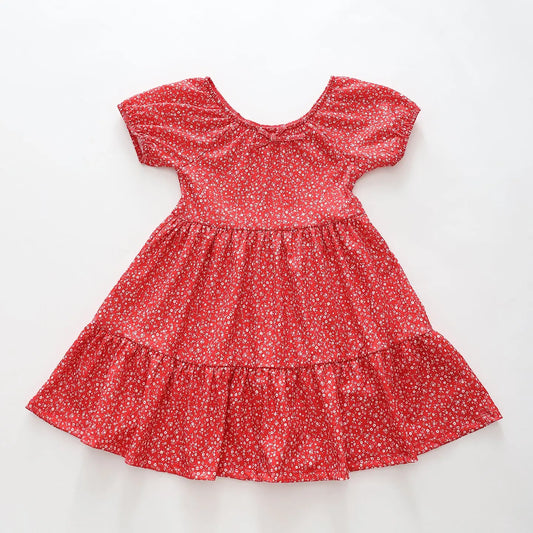 Ditsy Country Floral Print Dress Ollies Place