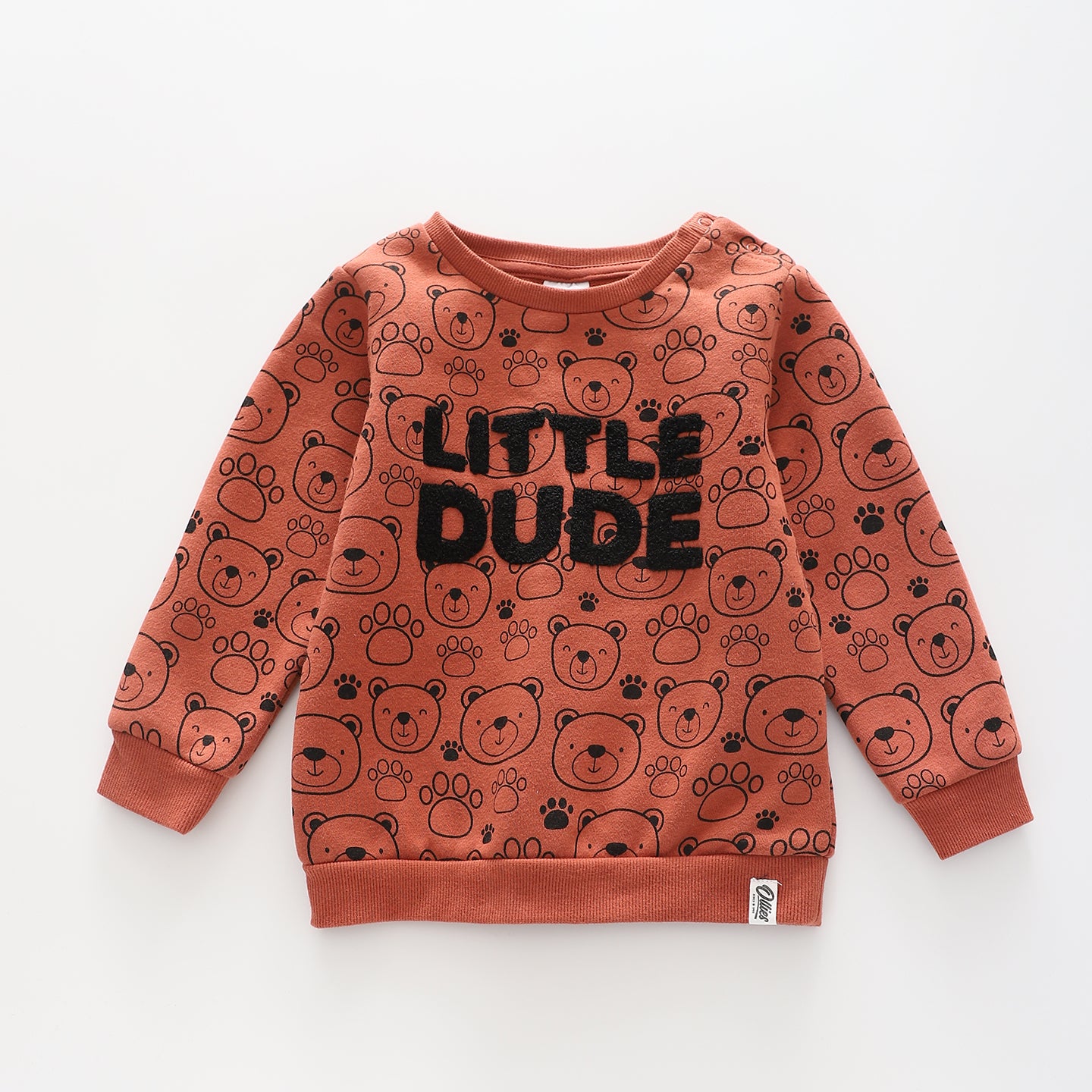 Bear Hugs Boys' Sweatshirt Ollies Place