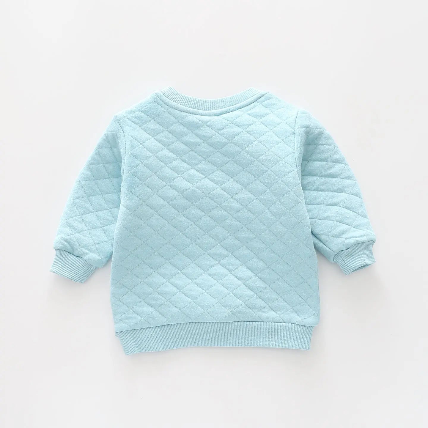 Fox and Friends, Baby Blue Boys Sweatshirt Ollies Place