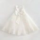 Francine French Lace Style Gown Ollies Place