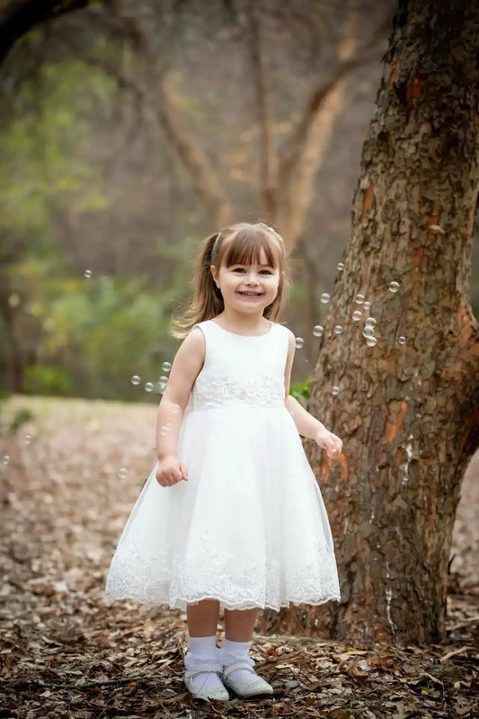Francine French Lace Style Gown Ollies Place