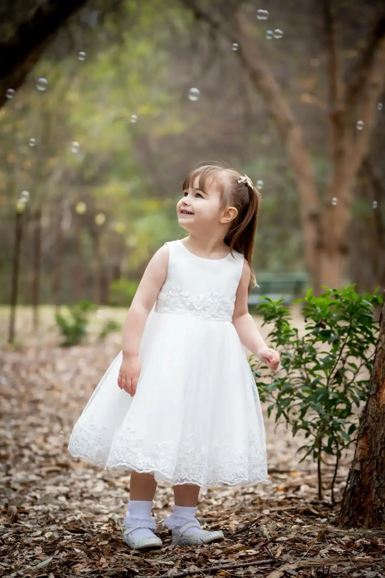 Francine French Lace Style Gown Ollies Place