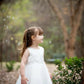 Francine French Lace Style Gown Ollies Place