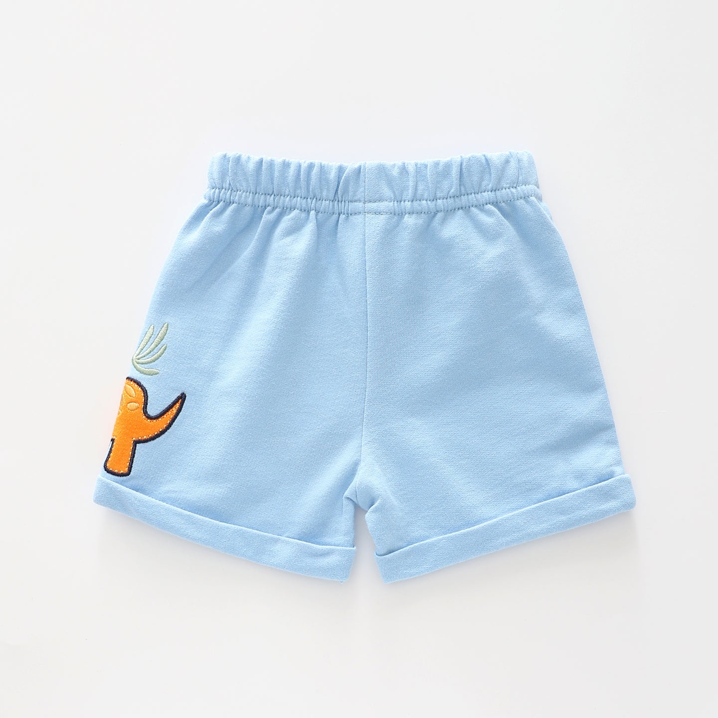 Baby Boys Blue Dino Shorts Ollies Place