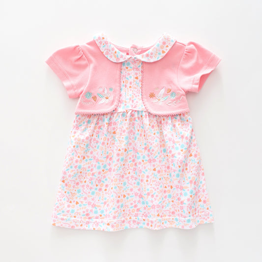 Baby Girls Little Sister Summer Dress Ollies Place