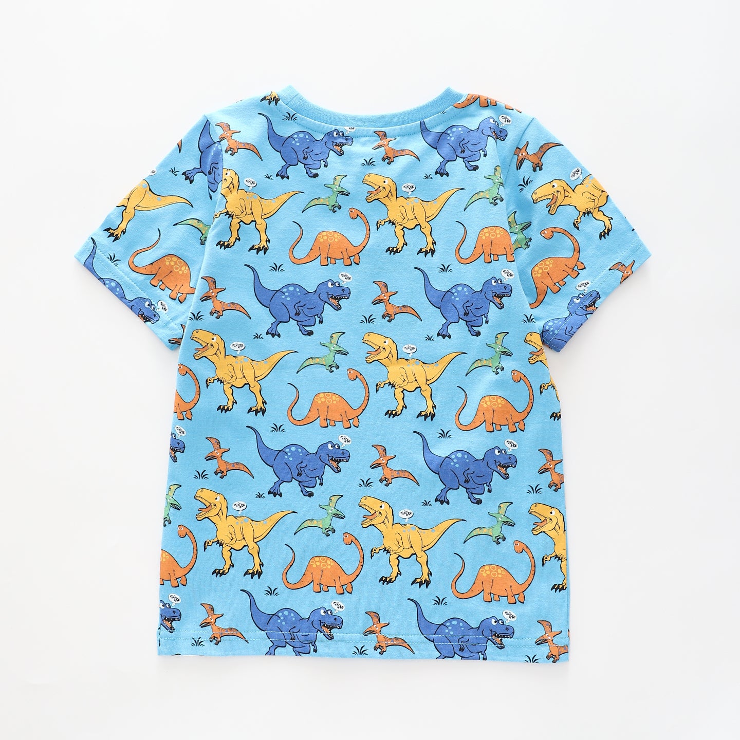 Boy's Blue T-shirt With Dinosaur Print Ollies Place