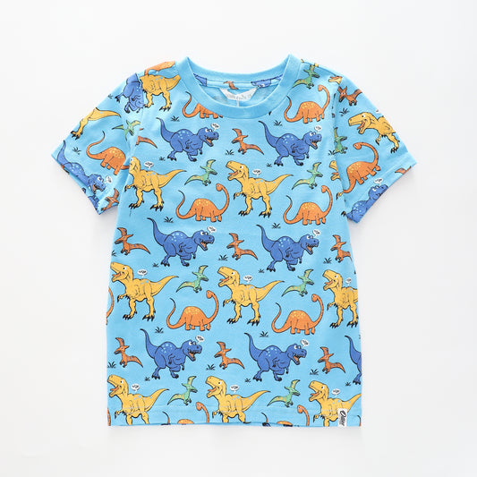 Boy's Blue T-shirt With Dinosaur Print Ollies Place