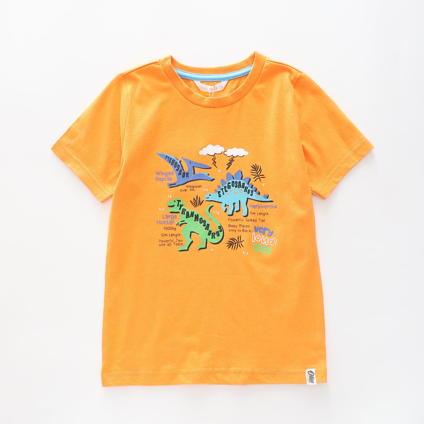 Boy's Orange T-shirt With  Dinosaur infographic Print Ollies Place