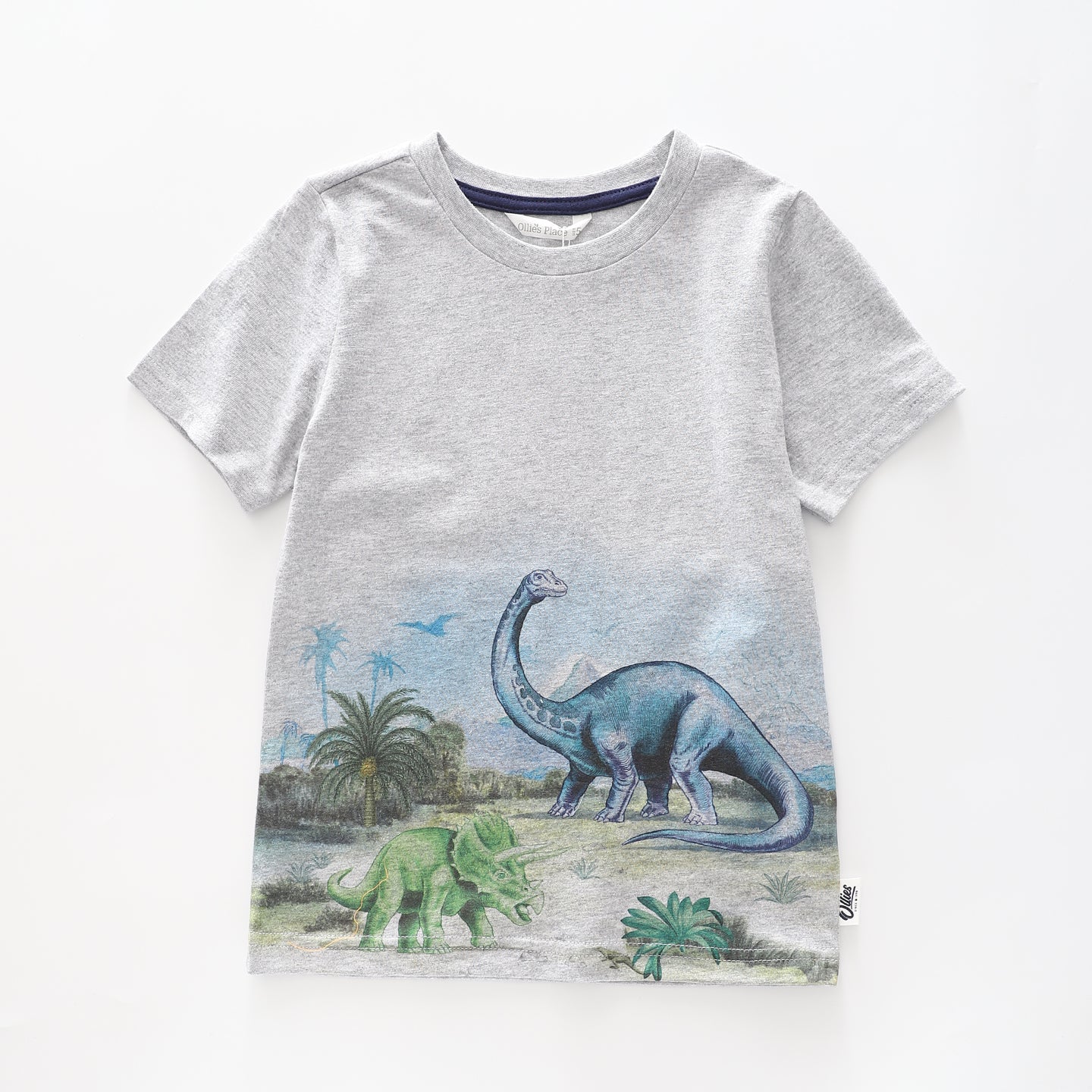 Boy's Grey T-shirt With Dinosaur  Print Ollies Place