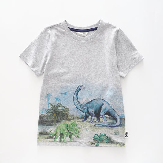 Boy's Grey T-shirt With Dinosaur  Print Ollies Place