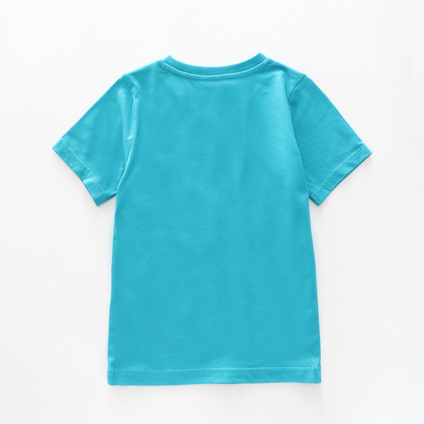 Boy's Aqua Blue T-shirt With Monster Print Ollies Place