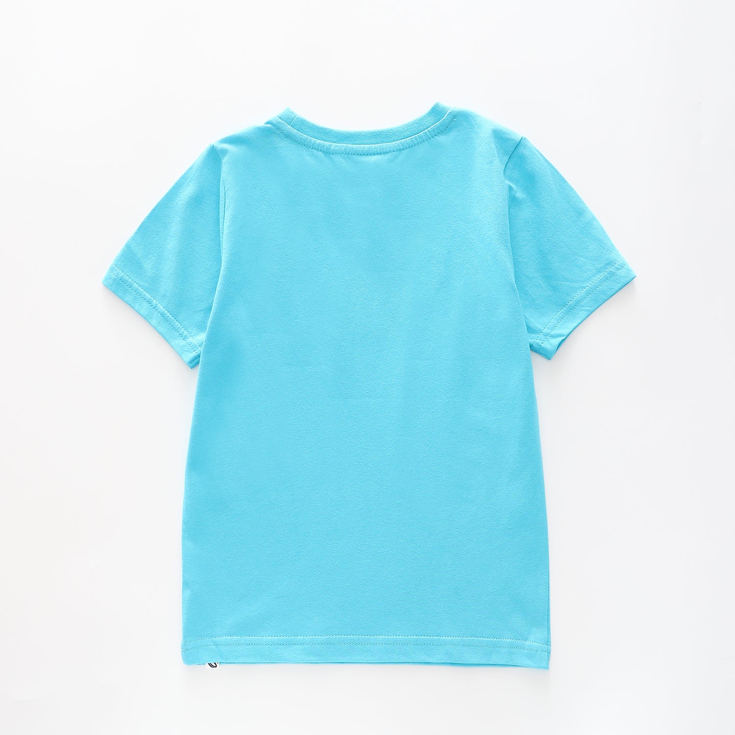 Boy's Blue Green T-shirt With 'Roarsome' Tiger Print Ollies Place