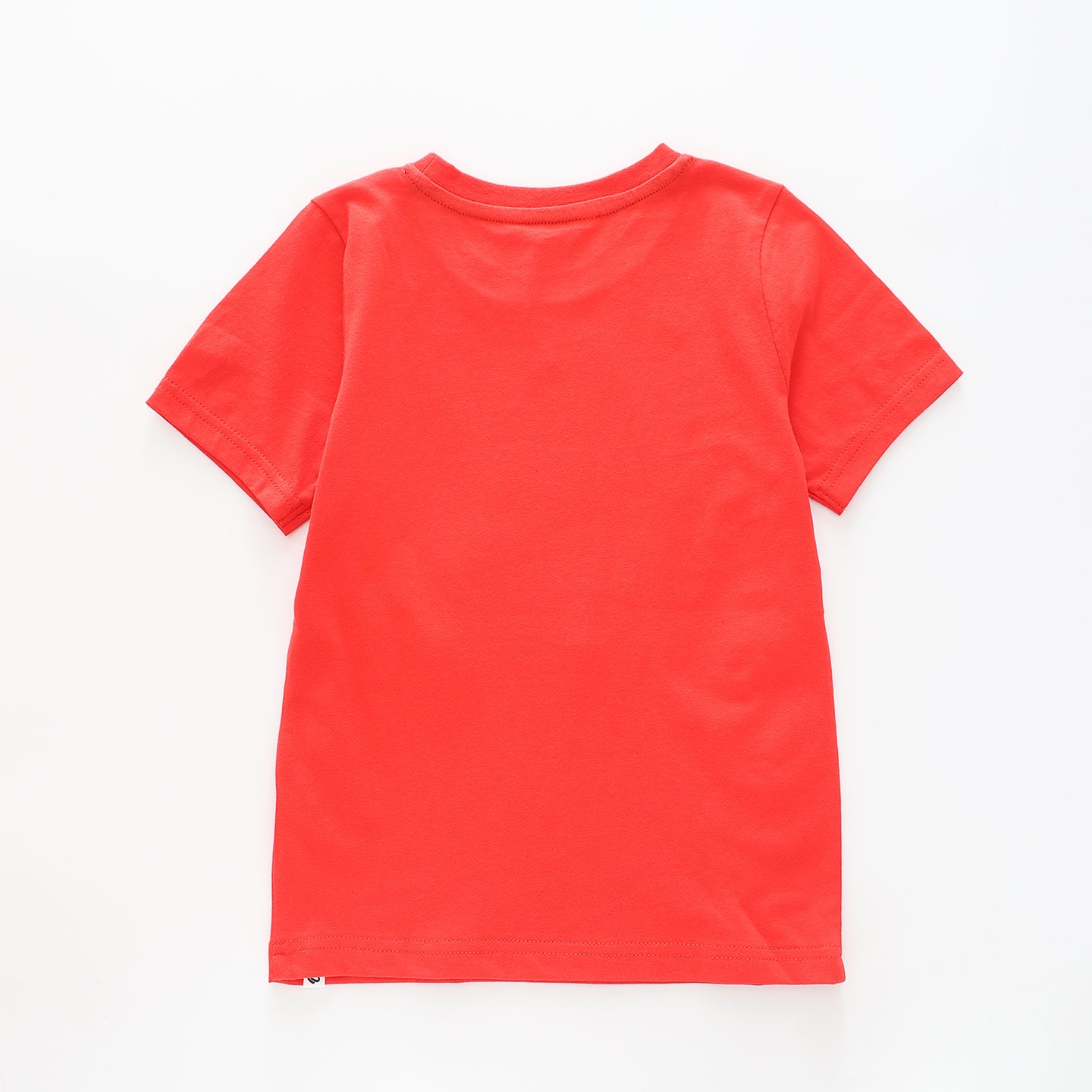 Boy's Red T-shirt With Safari Adventure Print Ollies Place