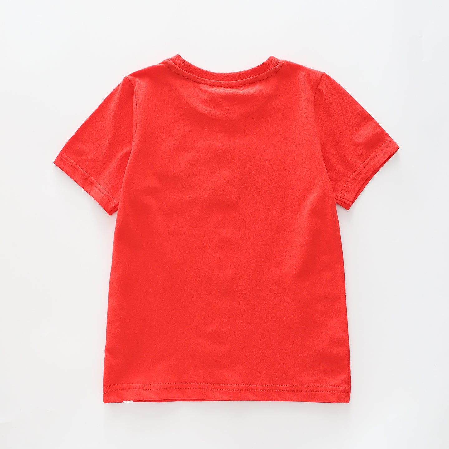 Boy's Red T-shirt With 'Big Brother' Print Ollies Place