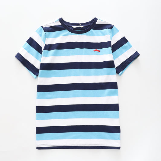 Boy's Blue and Navy Blue Striped Polo Shirt Ollies Place