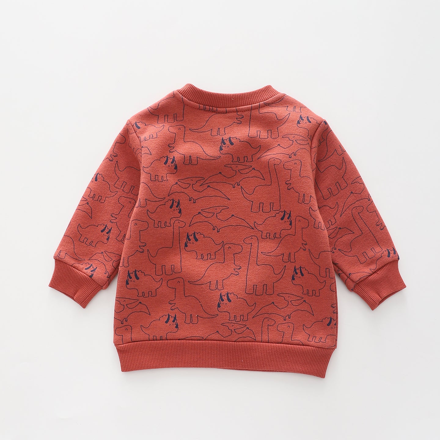 Jurassic Cutie, Baby Boys Sweat Top Ollies Place