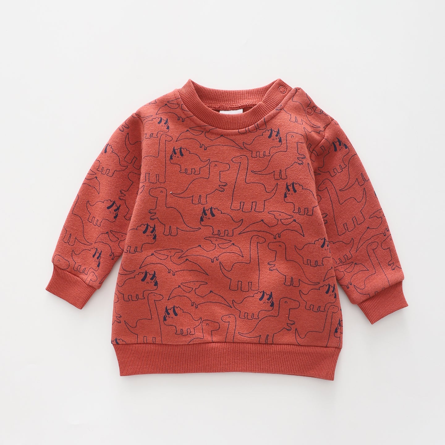 Jurassic Cutie, Baby Boys Sweat Top Ollies Place