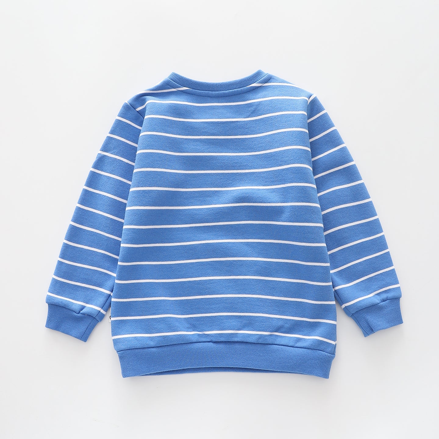 Dino Brights Stripes, Infant Boys Sweat Top Ollies Place