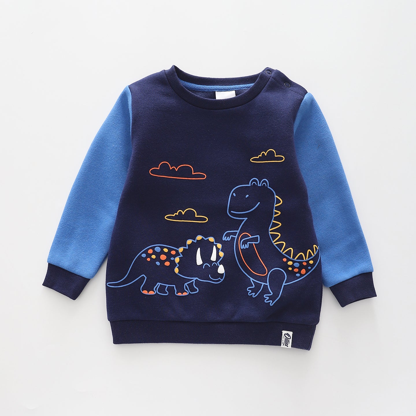 Dino Blues, Infant Boys Sweat Top Ollies Place