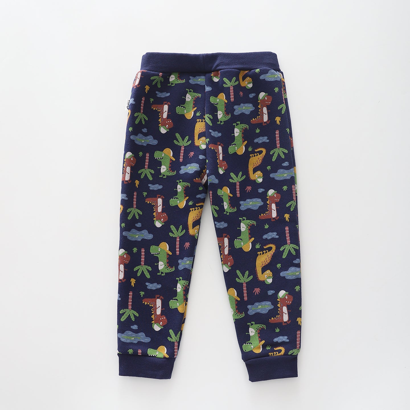 Dinosaurs, Infant Boys Track Pants Ollies Place