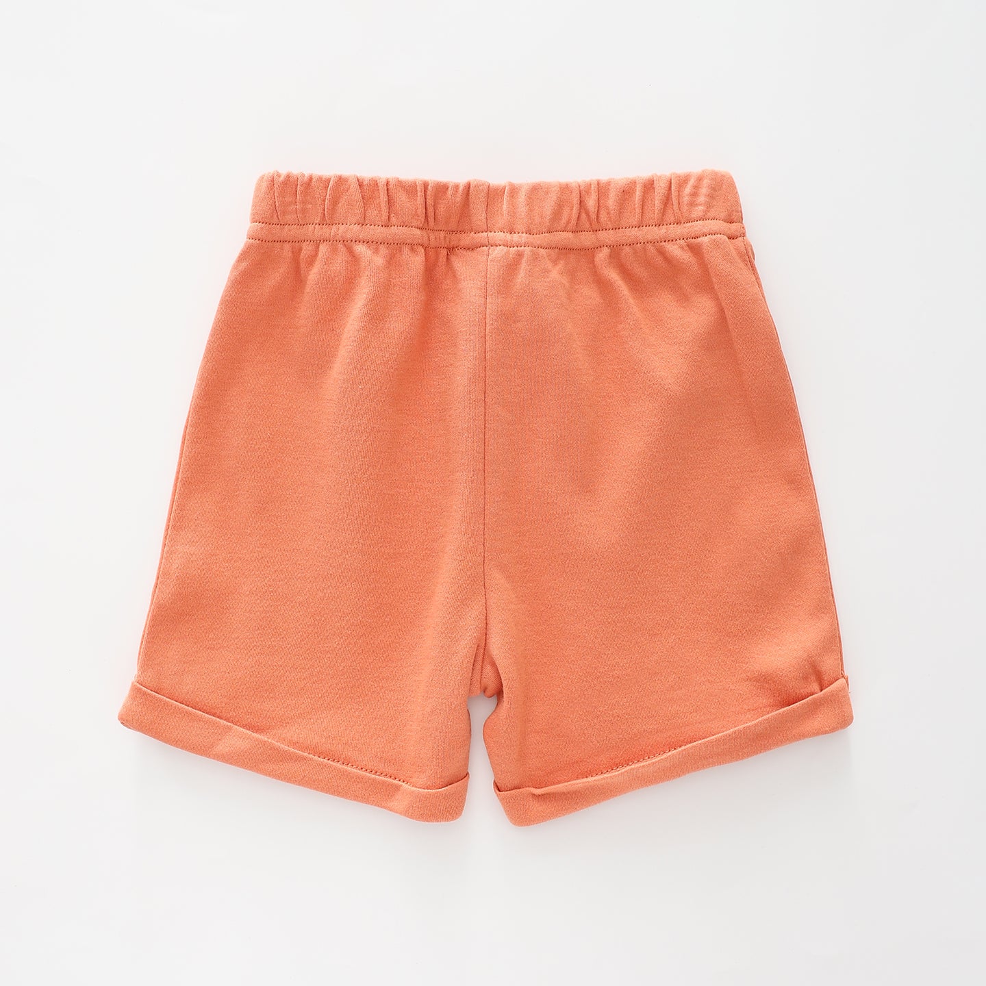 Baby Boys Casual Clay Shorts Ollies Place