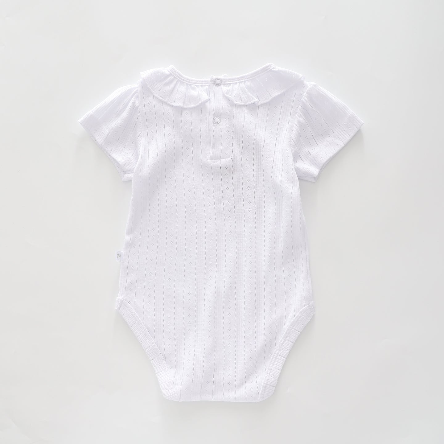 Baby Girls Pointelle Bodysuit Ollies Place