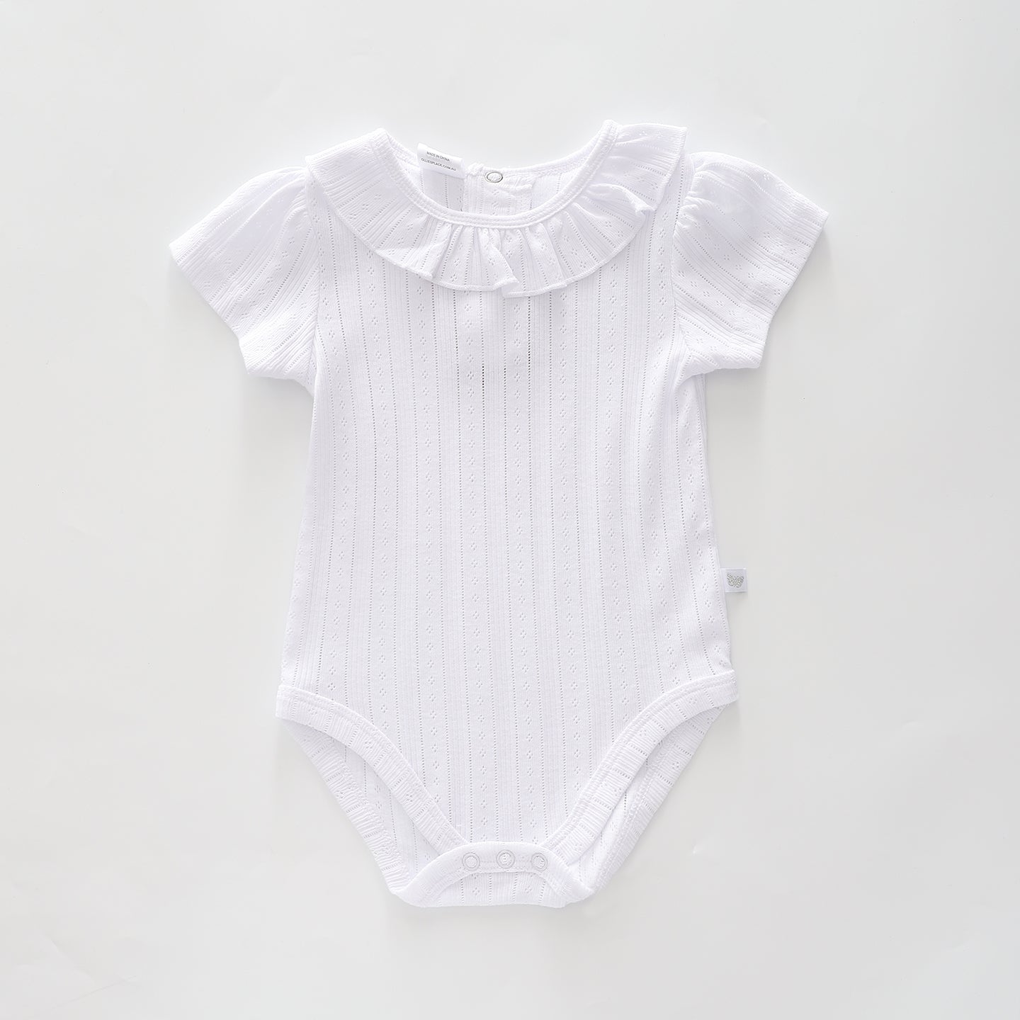 Baby Girls Pointelle Bodysuit Ollies Place