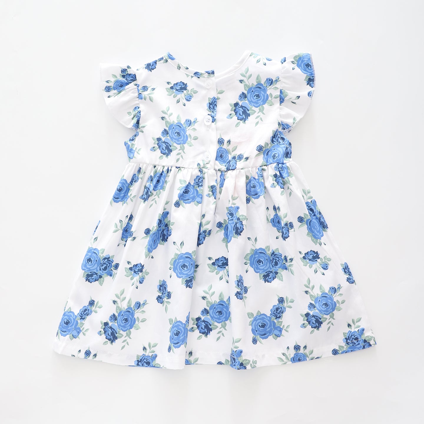 Baby Girls, Blue Rose Dress Ollies Place