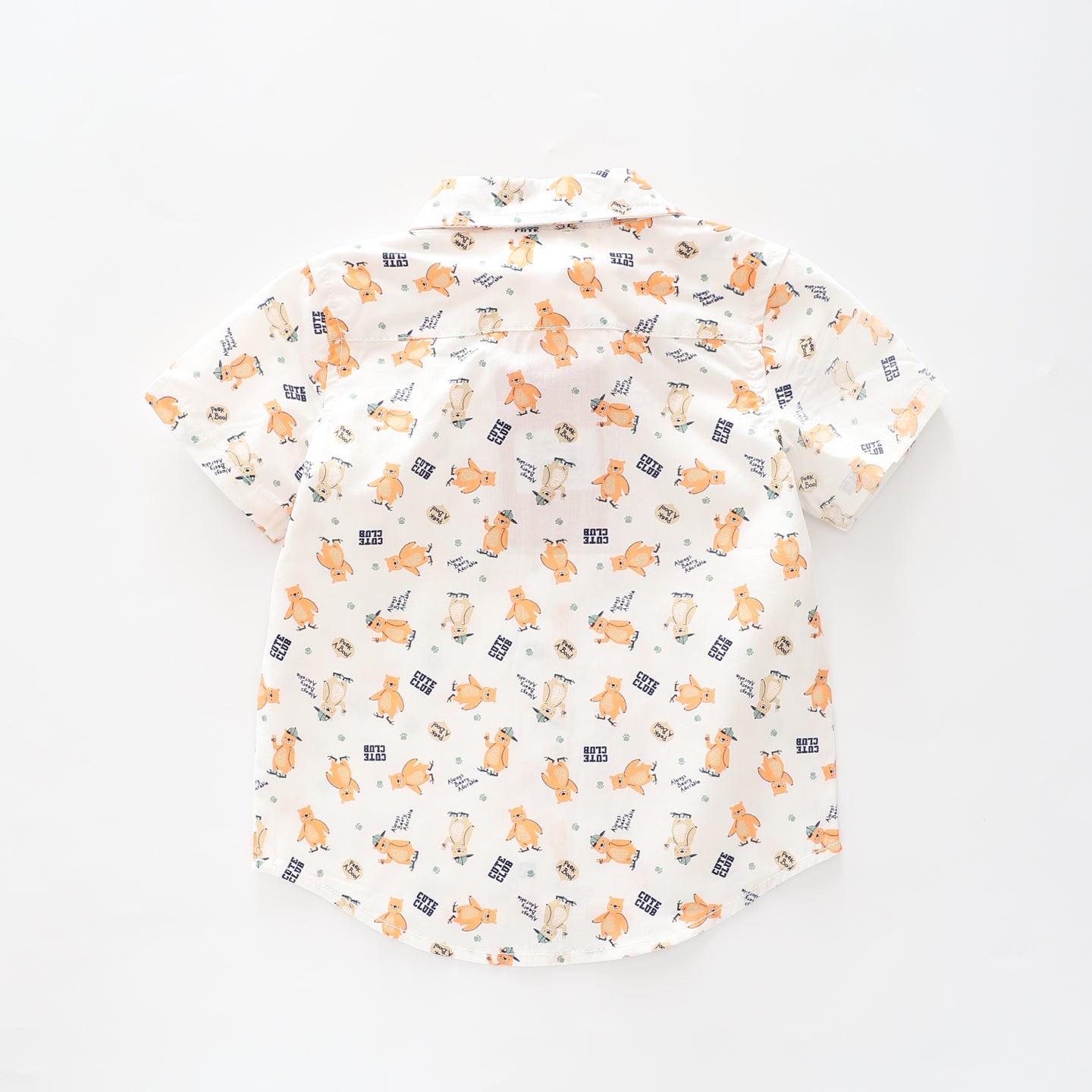 Infant Boys Bear Club Collared Shirt Ollies Place