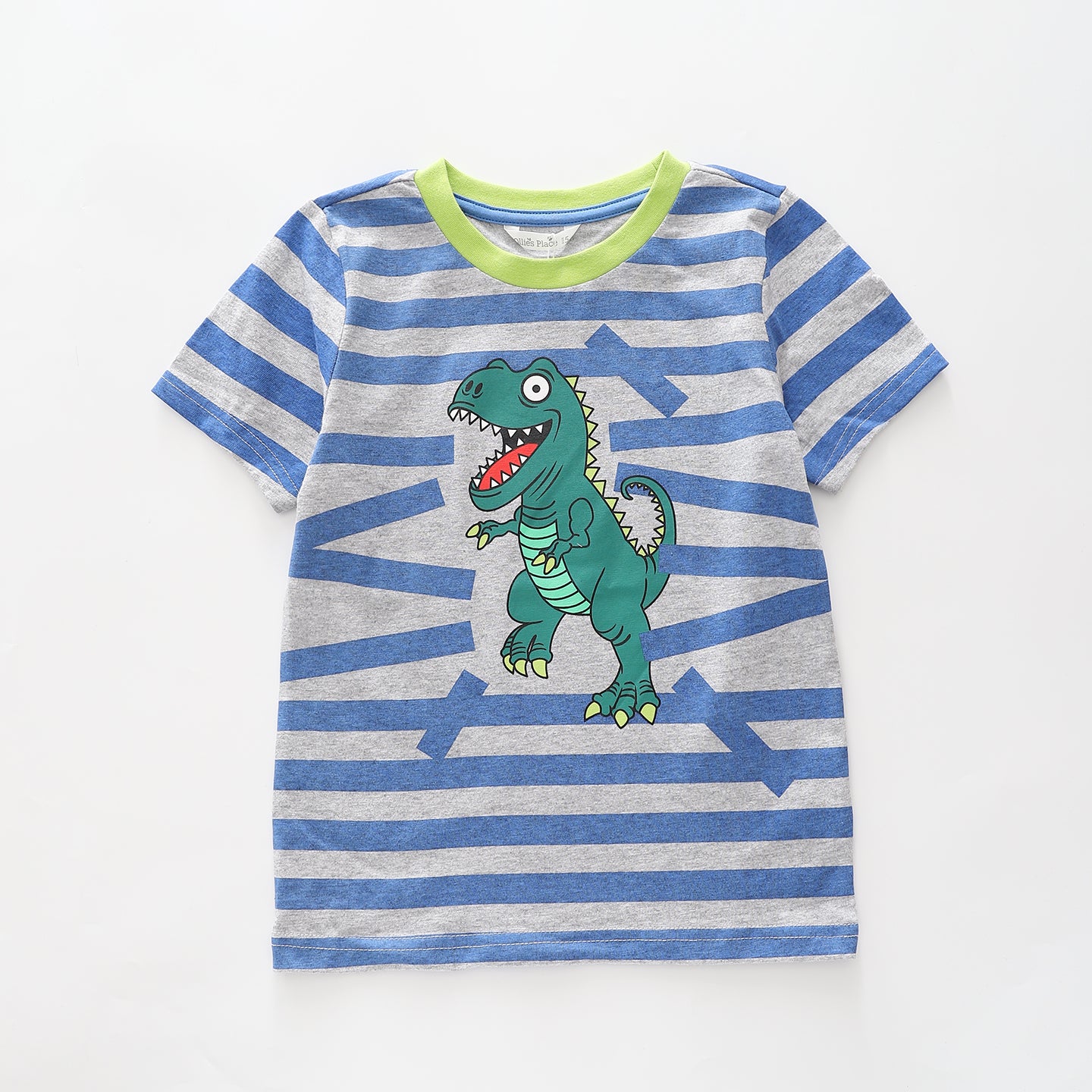 Junior Boys T-Rex Print Tee Ollies Place