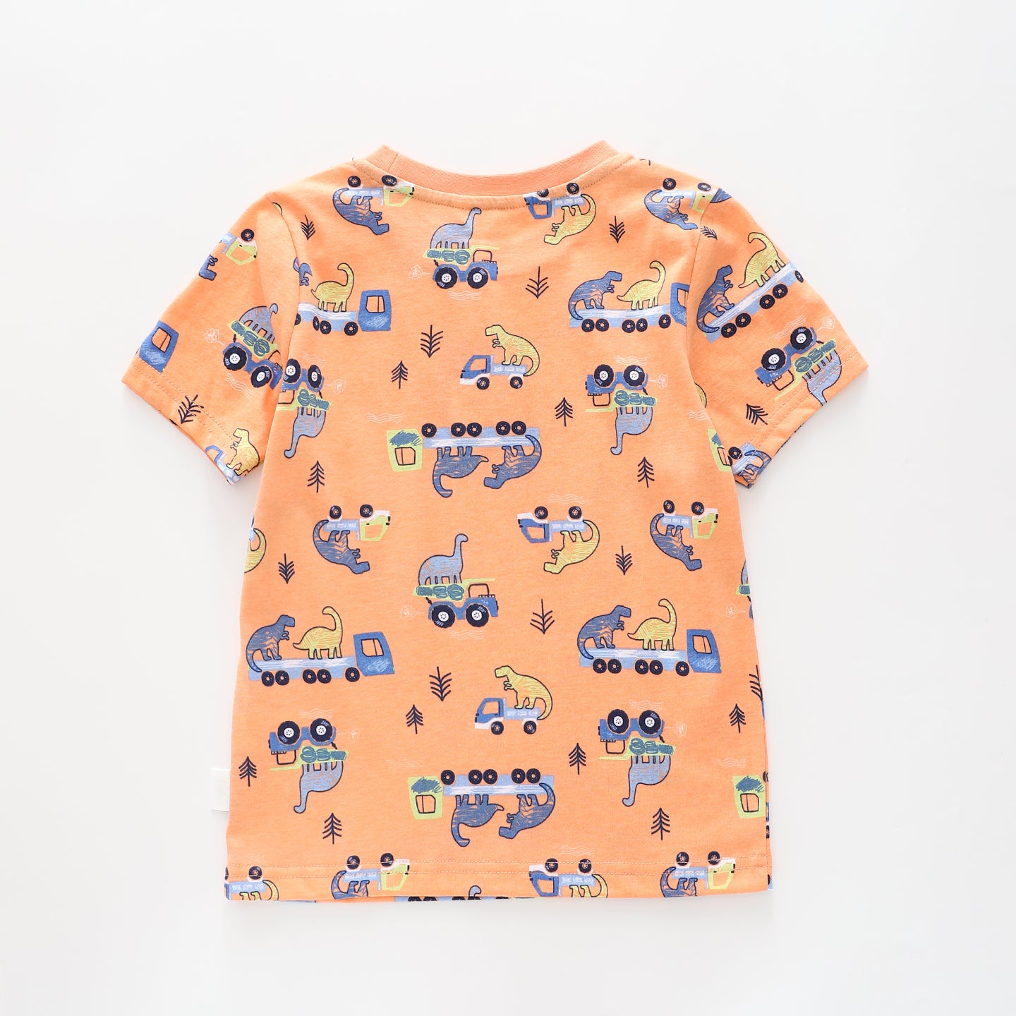 Junior Boys Dino Truck Tee Ollies Place