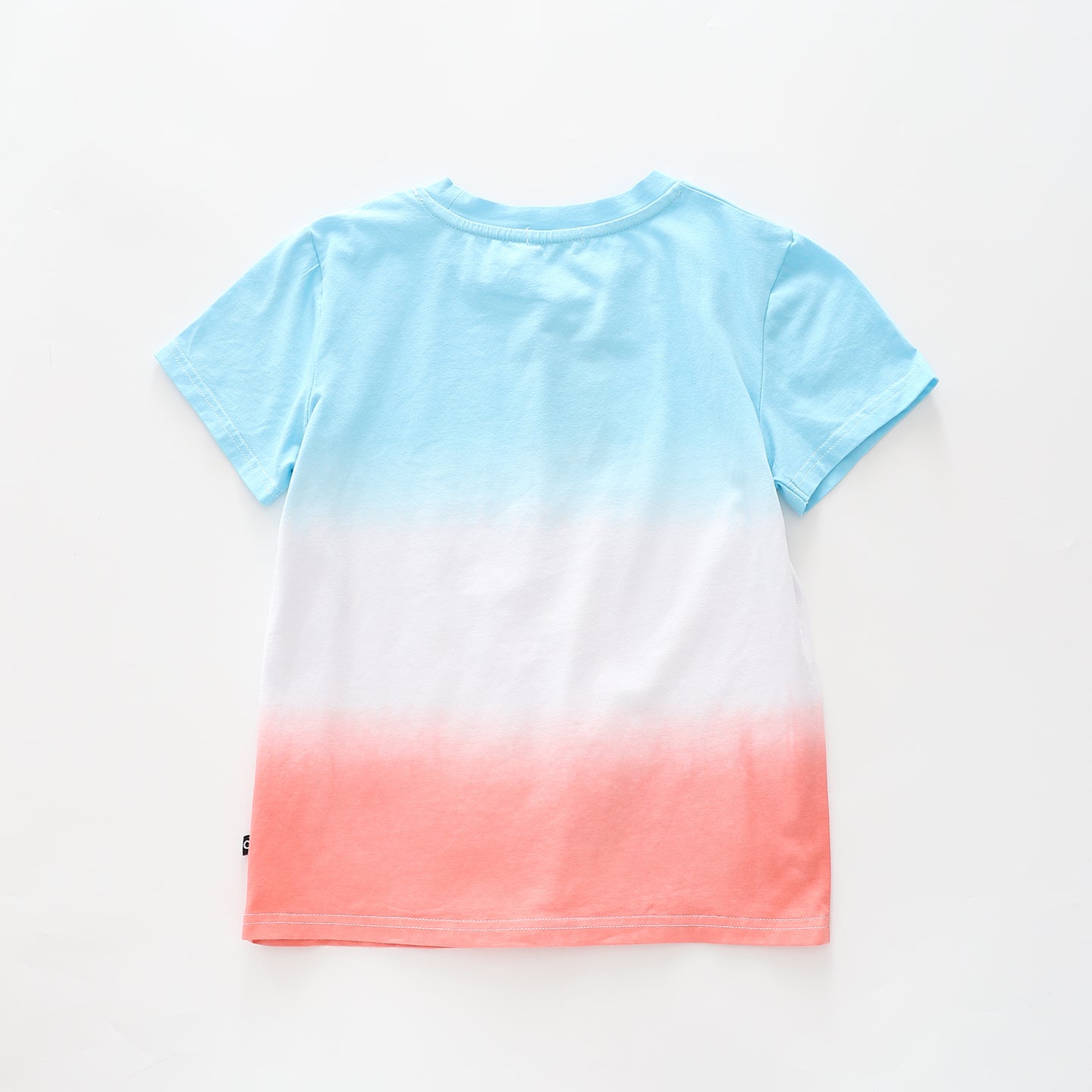 Dip Dyed T-shirt Ollies Place