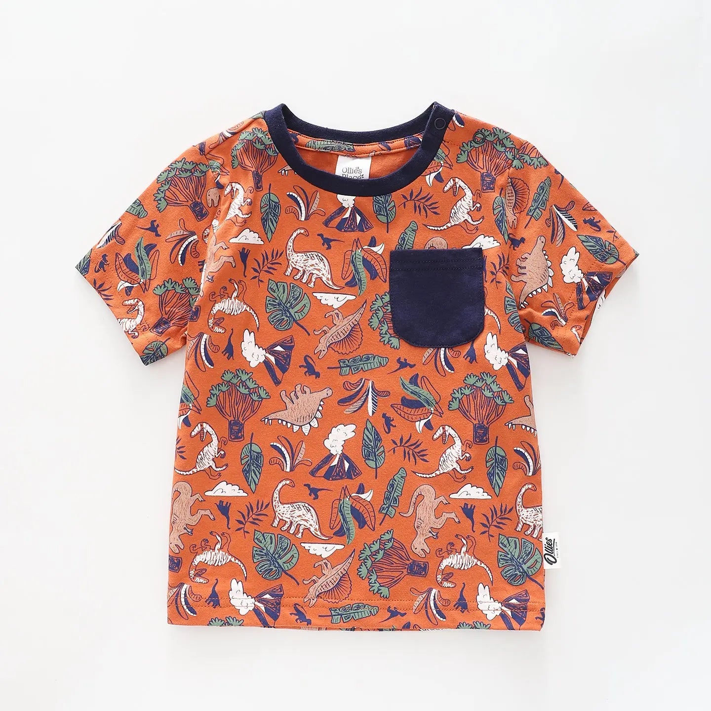 Infant and Toddler Boys Dino Tee Ollies Place