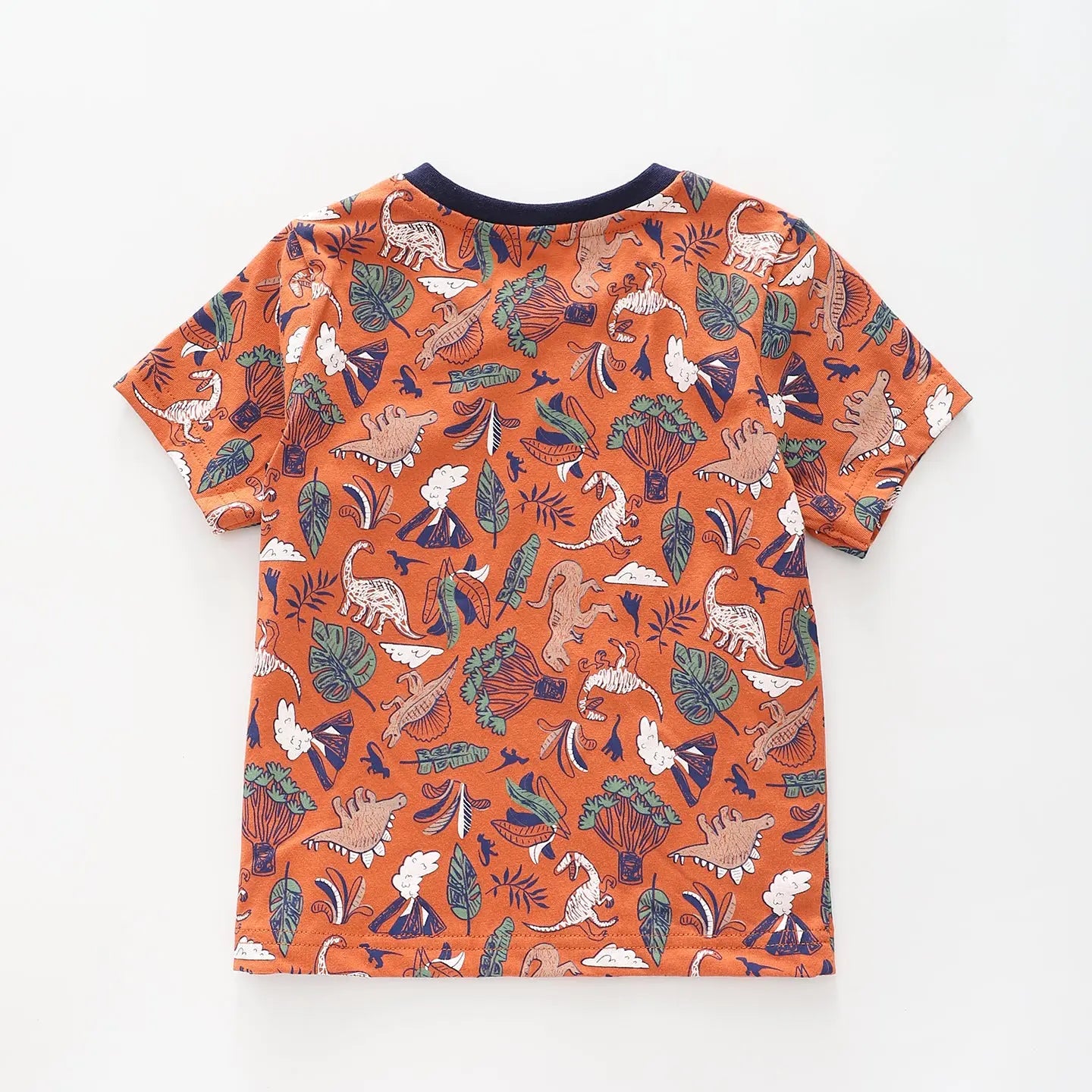 Infant and Toddler Boys Dino Tee Ollies Place