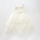 Ivory Tulle and Lace Dress Ollies Place