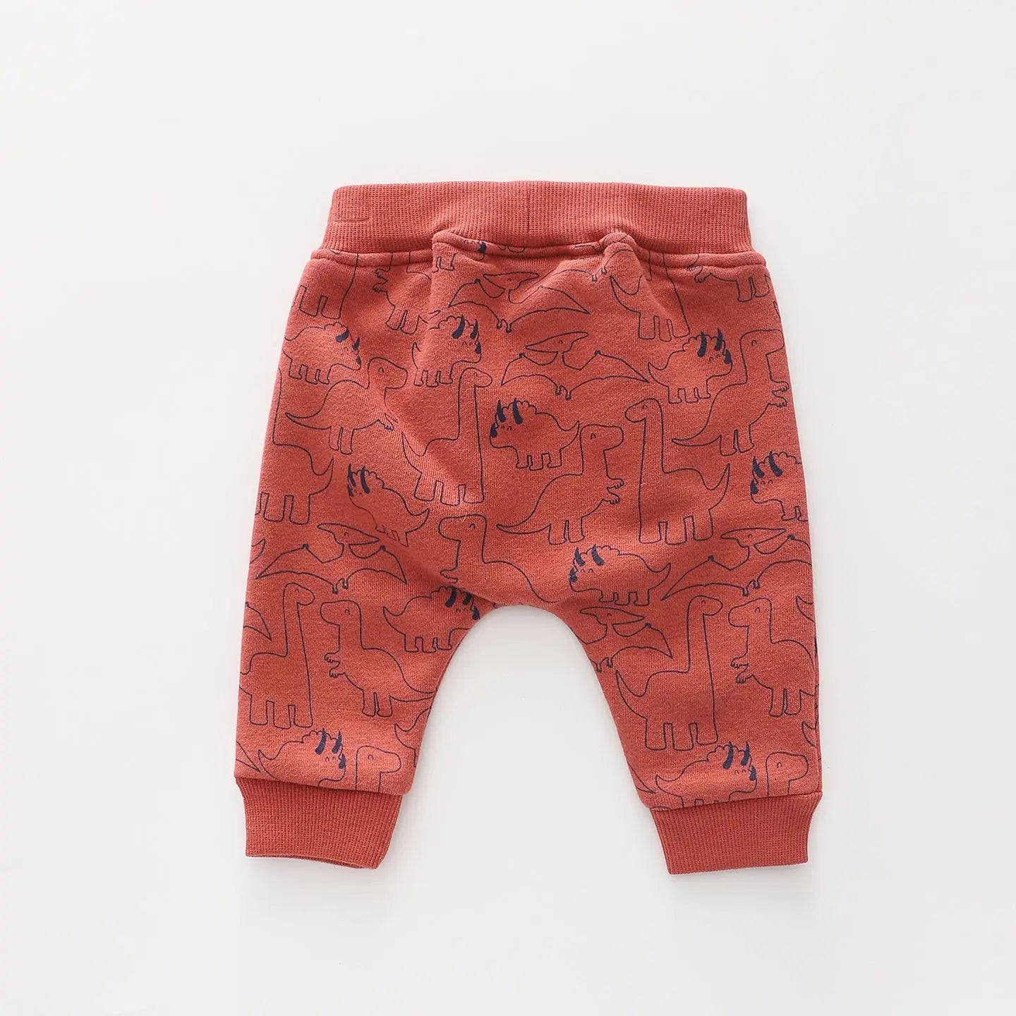 Jurassic Cutie, Baby Boys Sweat Pants Ollies Place