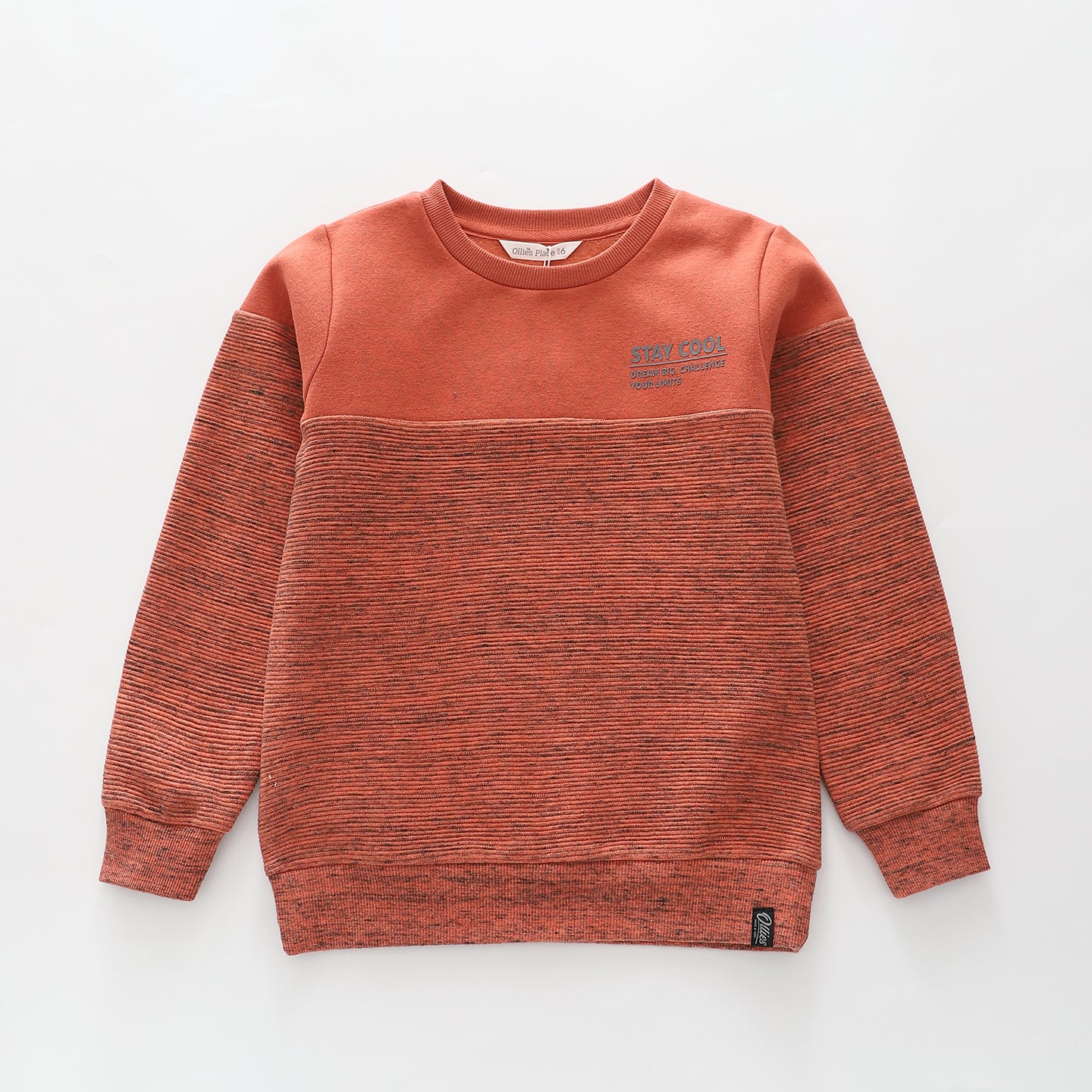 Spliced Rusty Brown Sweatshirt