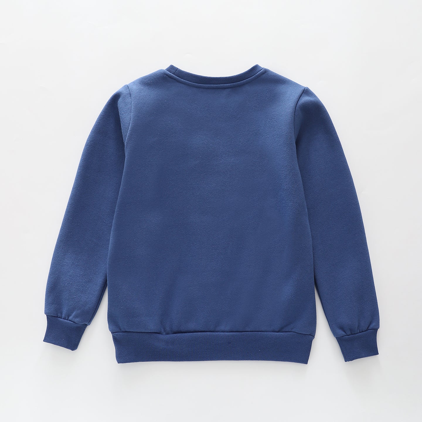 Dino Fun Facts Sweatshirt