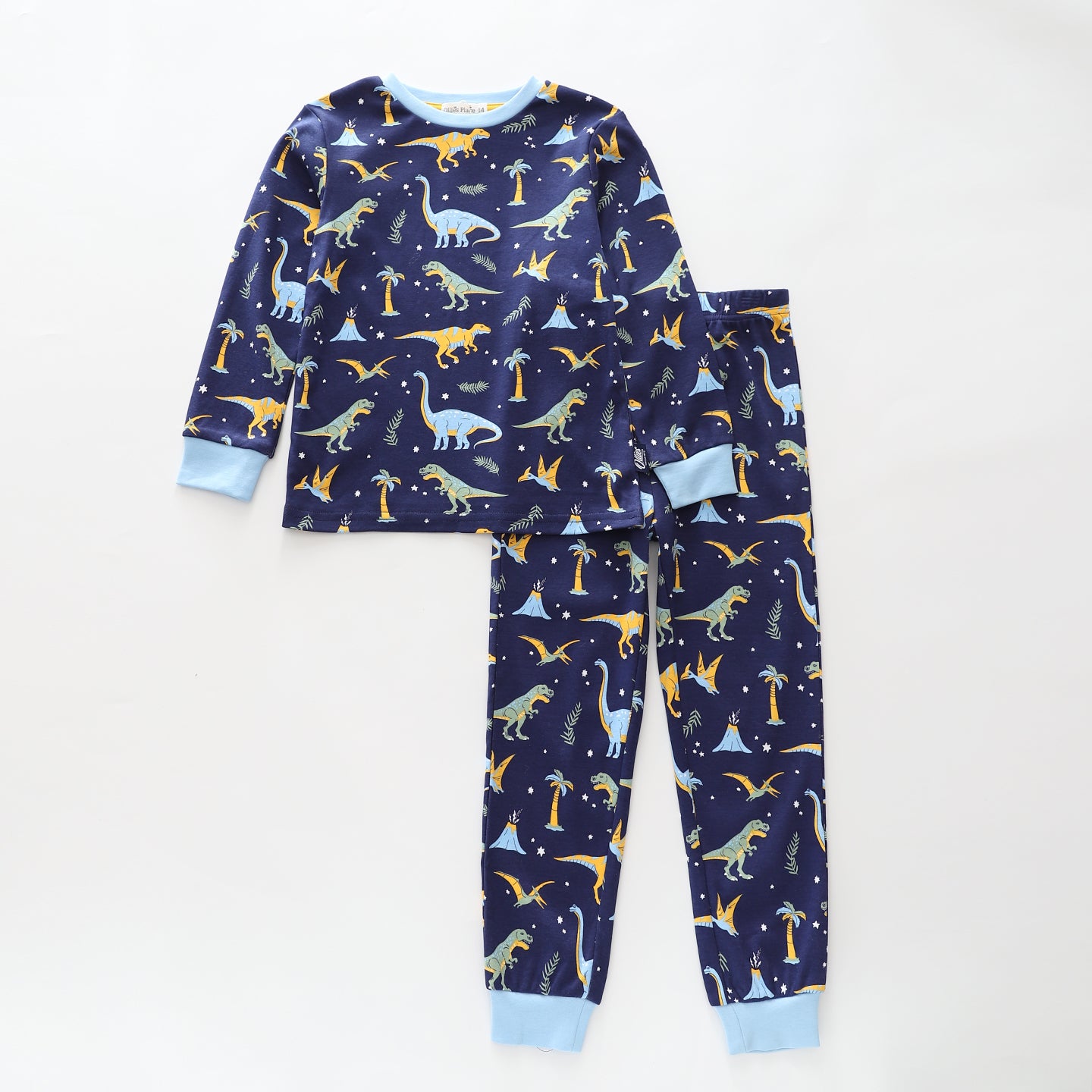 Dinosaur Print LS Pyjamas Set