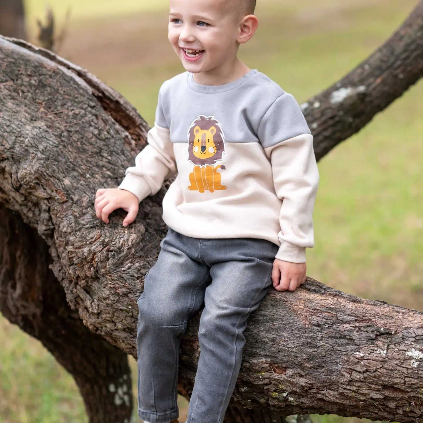 Lion Sweatshirt Ollies Place