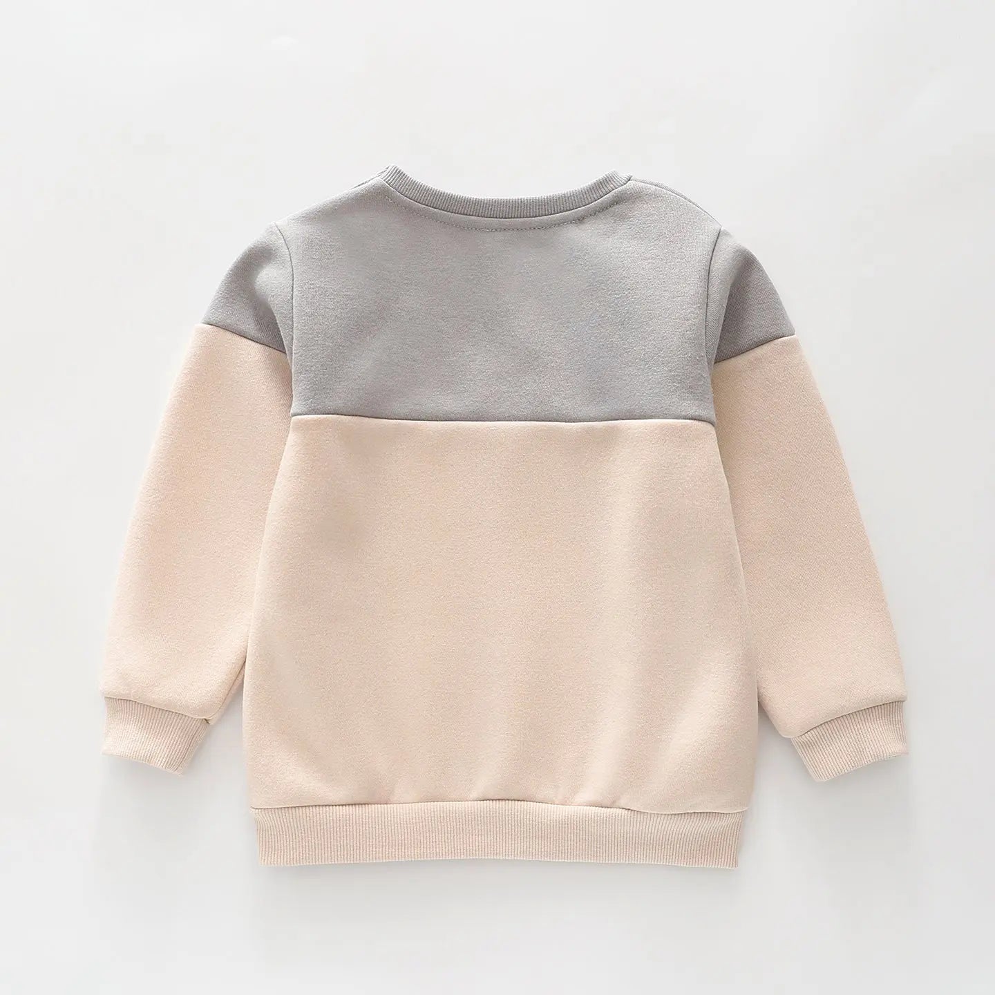 Lion Sweatshirt Ollies Place