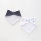 Little Blue Dino, Baby Boys Bib Set Ollies Place