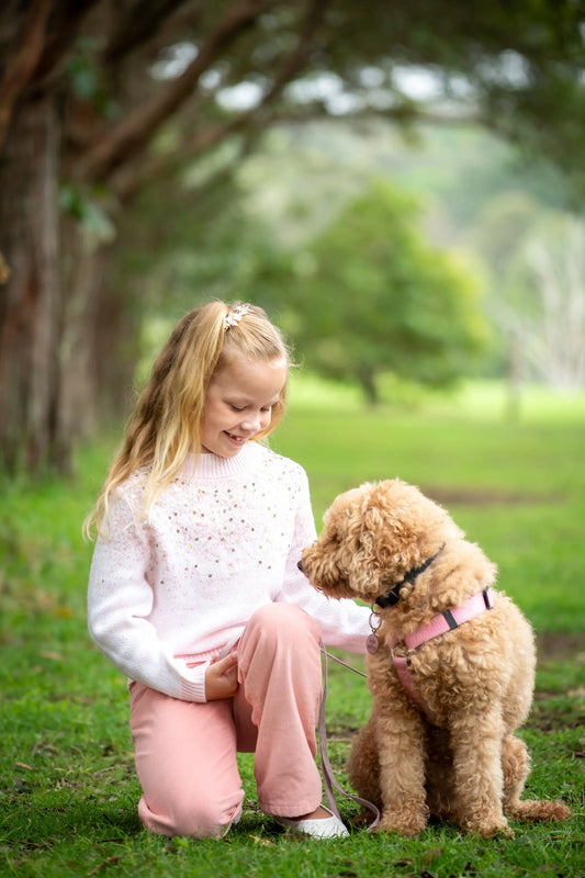 Pink Sequin Knit Jumper Ollies Place