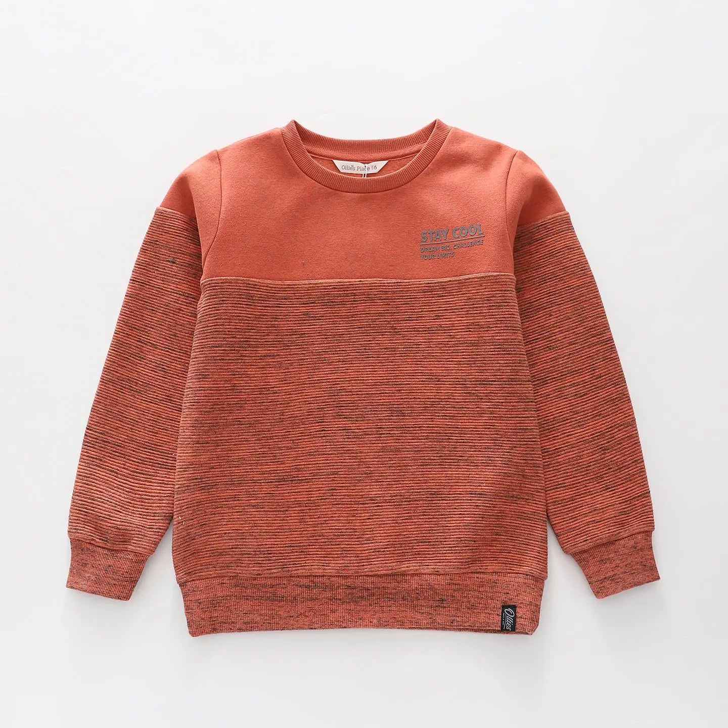 Spliced Rusty Brown Sweatshirt Ollies Place
