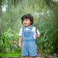 Striped Denim Shortalls Ollies Place