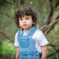 Striped Denim Shortalls Ollies Place