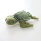 Tasman The Green Sea Turtle Plush Toy Ollies Place