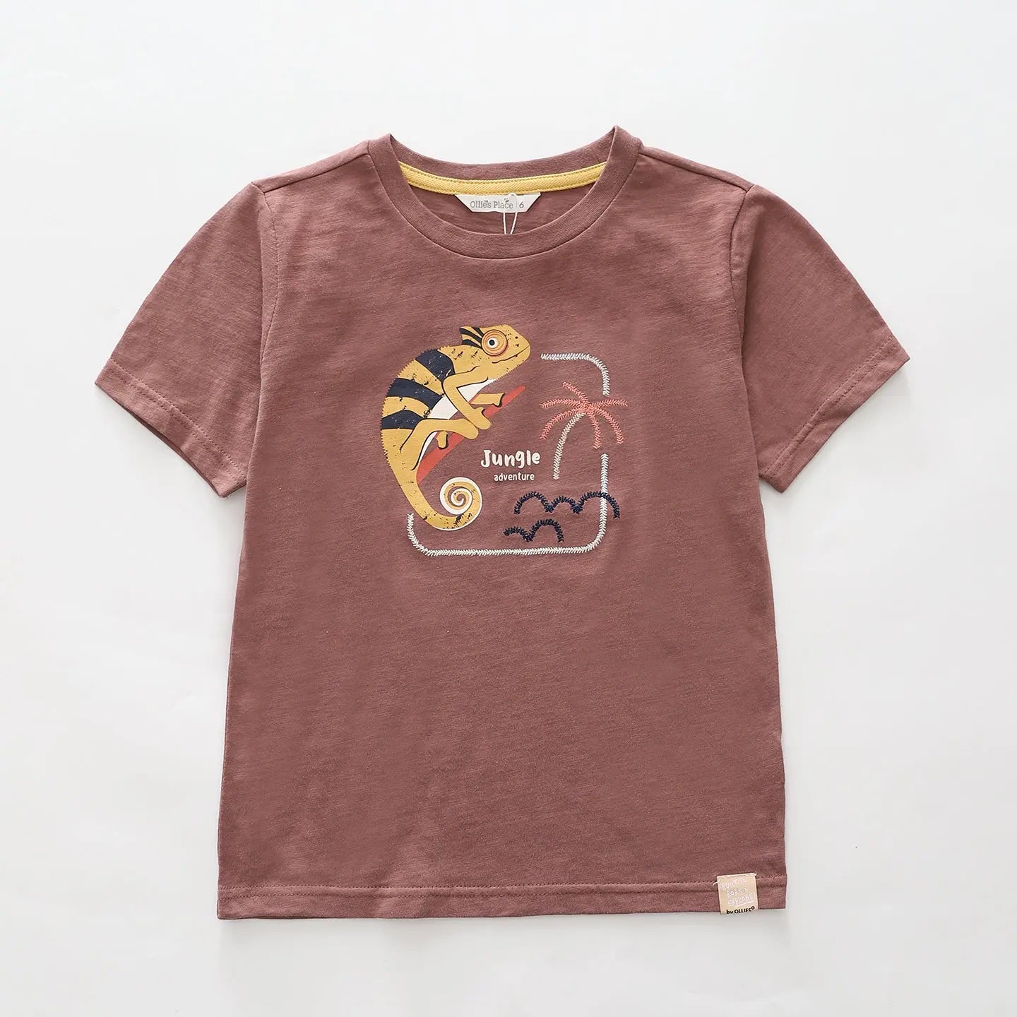 boys-chameleon-slub-tee Ollies Place