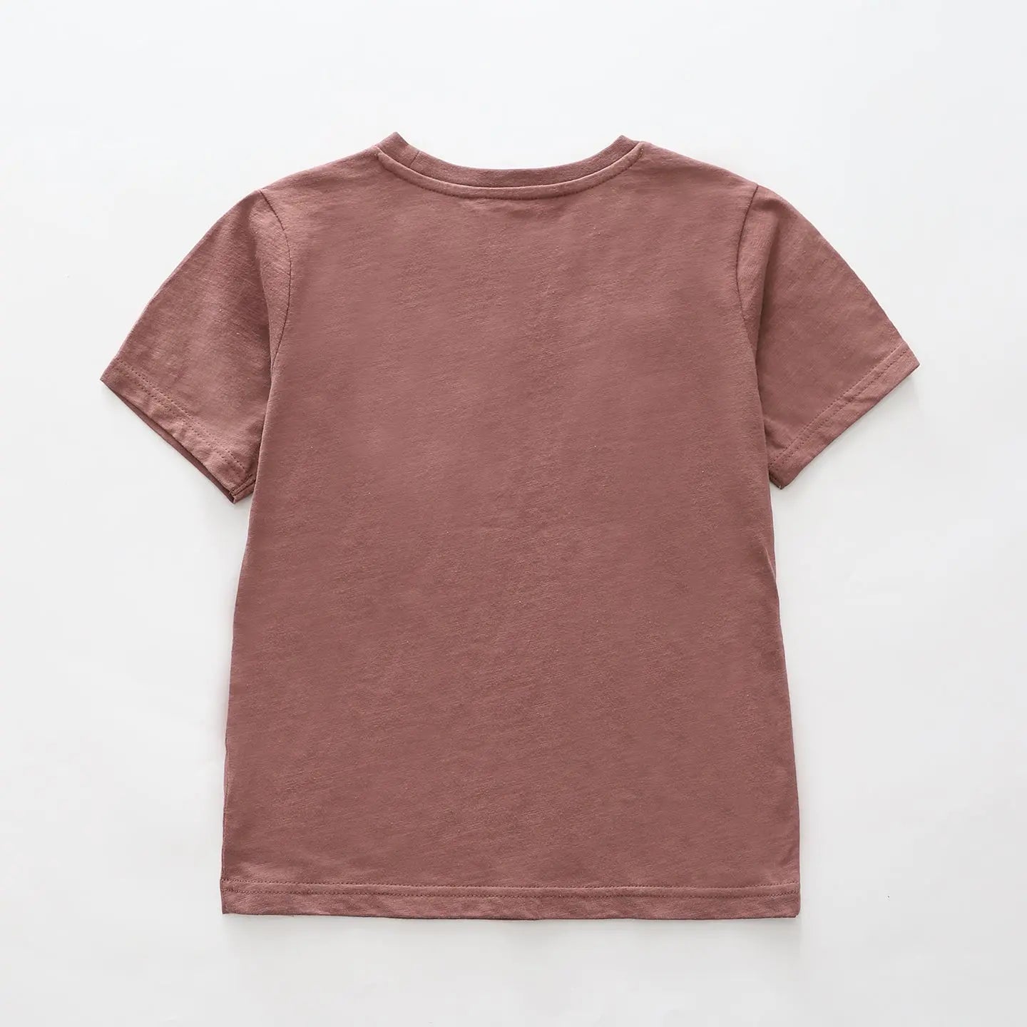 boys-chameleon-slub-tee Ollies Place